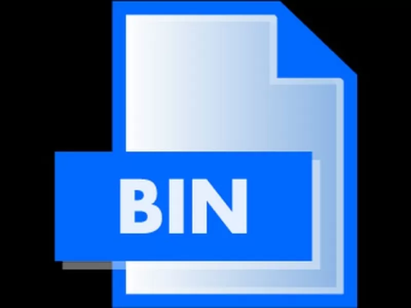 Файл с расширением bin чем открыть на андроиде