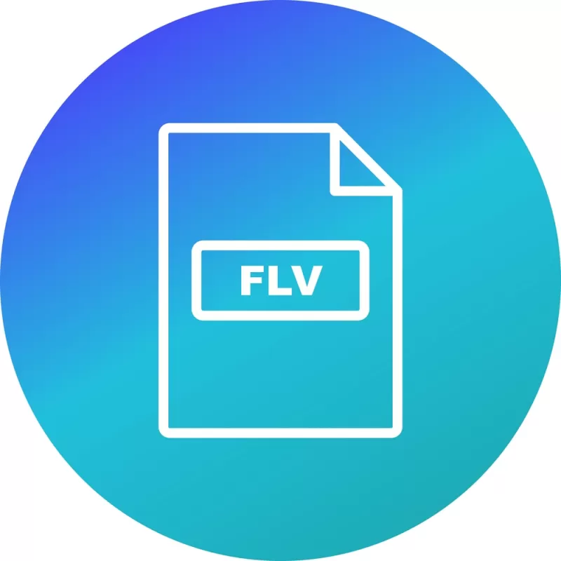 открыть файл flv