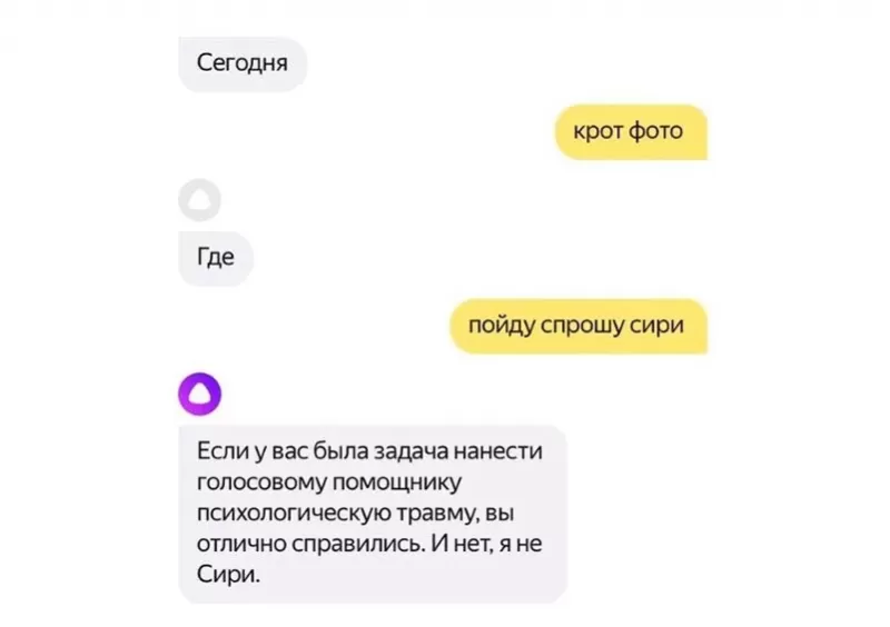 Слушай Яндекс Порно Приколы