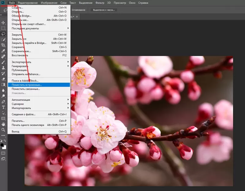 как вставить картинку в photoshop