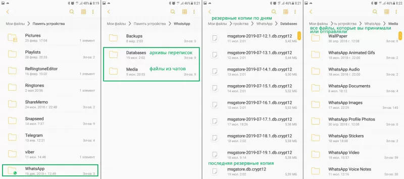 Папку whatsapp. Папка ватсап датабейс. Датабасес в ватсапе папка. Как найти папку с WHATSAPP. Директория database WHATSAPP.
