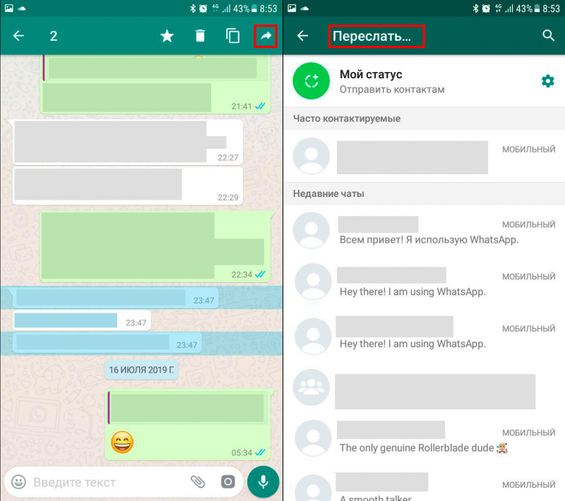 Не копируются ссылки в whatsapp