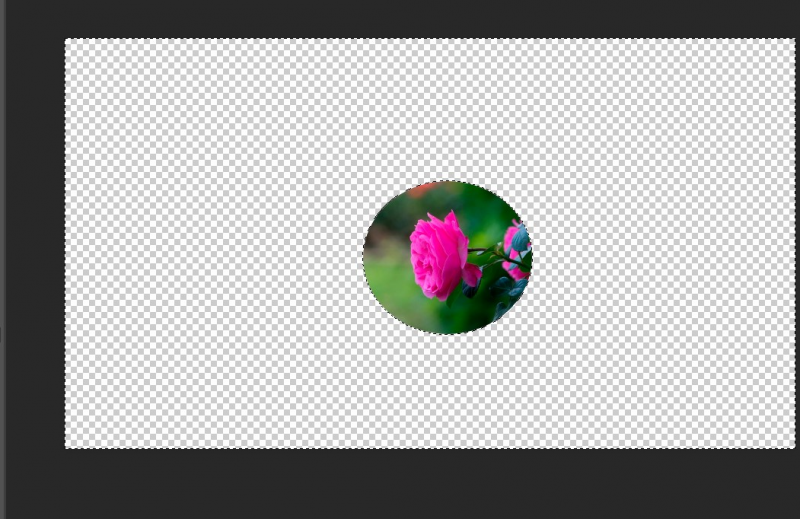 Как вырезать круг в Adobe Photoshop