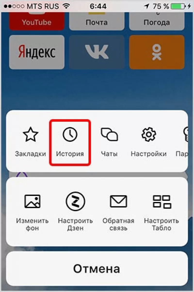 Как Очистить Историю Яндекса на Самсунге: Поиска, Просмотров, Запросов, Посещений и Переписки с Алисой?