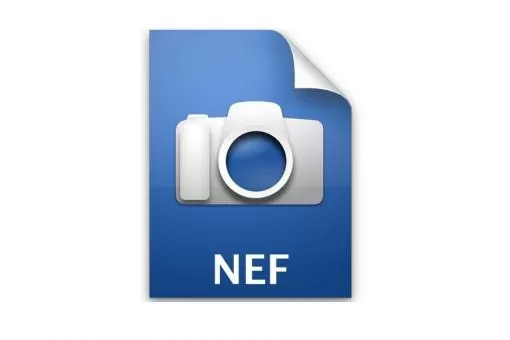 Файл формата nef: чем открыть, описание, особенности