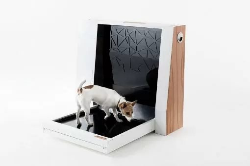 Inubox: туалет для собак за 1200 долларов