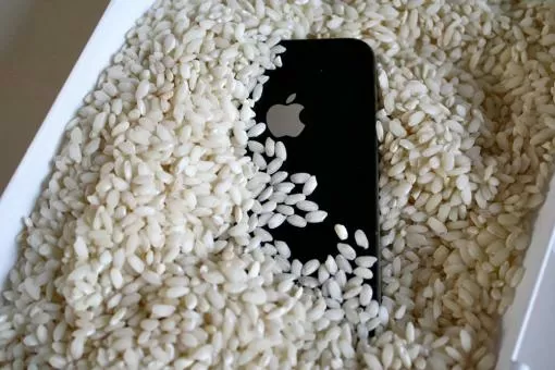Эксперты: рис не спасёт смартфон после падения в воду